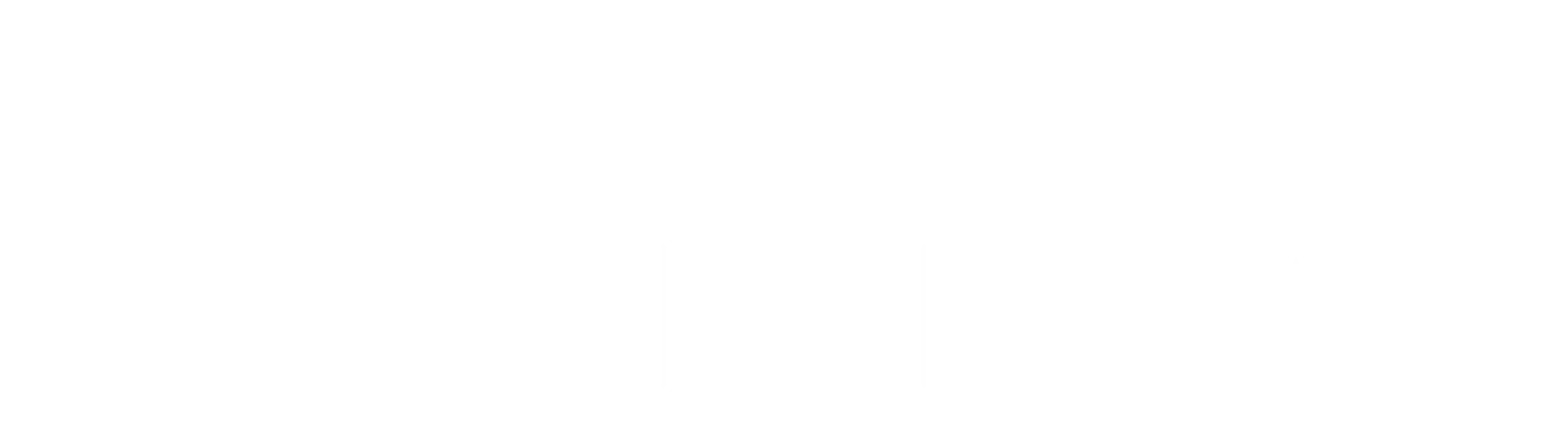 Finmile Logo